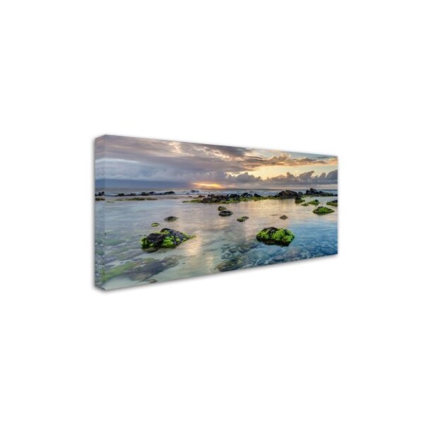 Pierre Leclerc 'Ho'okipa Sunrays Maui' Canvas Art,16x32